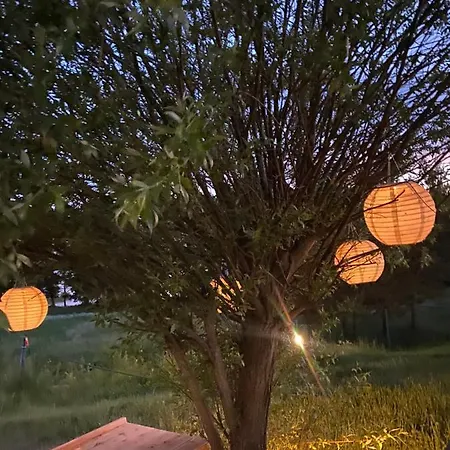 Rybical 아파트 린